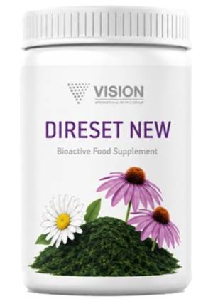 DIRESET NEW VISION